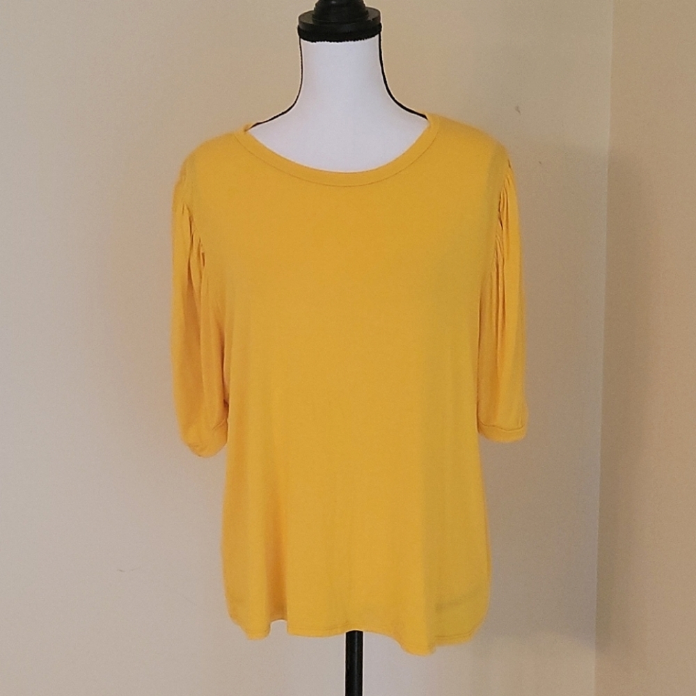 FINAL PRICE DROP Teenbell top